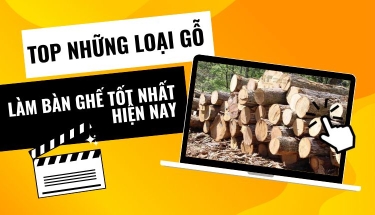 Những loại gỗ sử dụng làm bàn ghế bền, đẹp, tốt nhất hiện nay