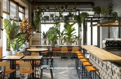 Mở quán cafe cần chuẩn bị những gì? Kinh nghiệm thu hút khách hàng quán cafe