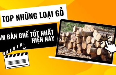Những loại gỗ sử dụng làm bàn ghế bền, đẹp, tốt nhất hiện nay
